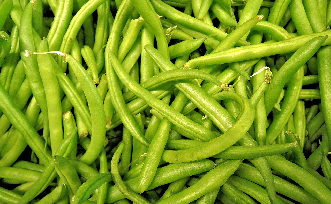 green-beans-1018624_1280