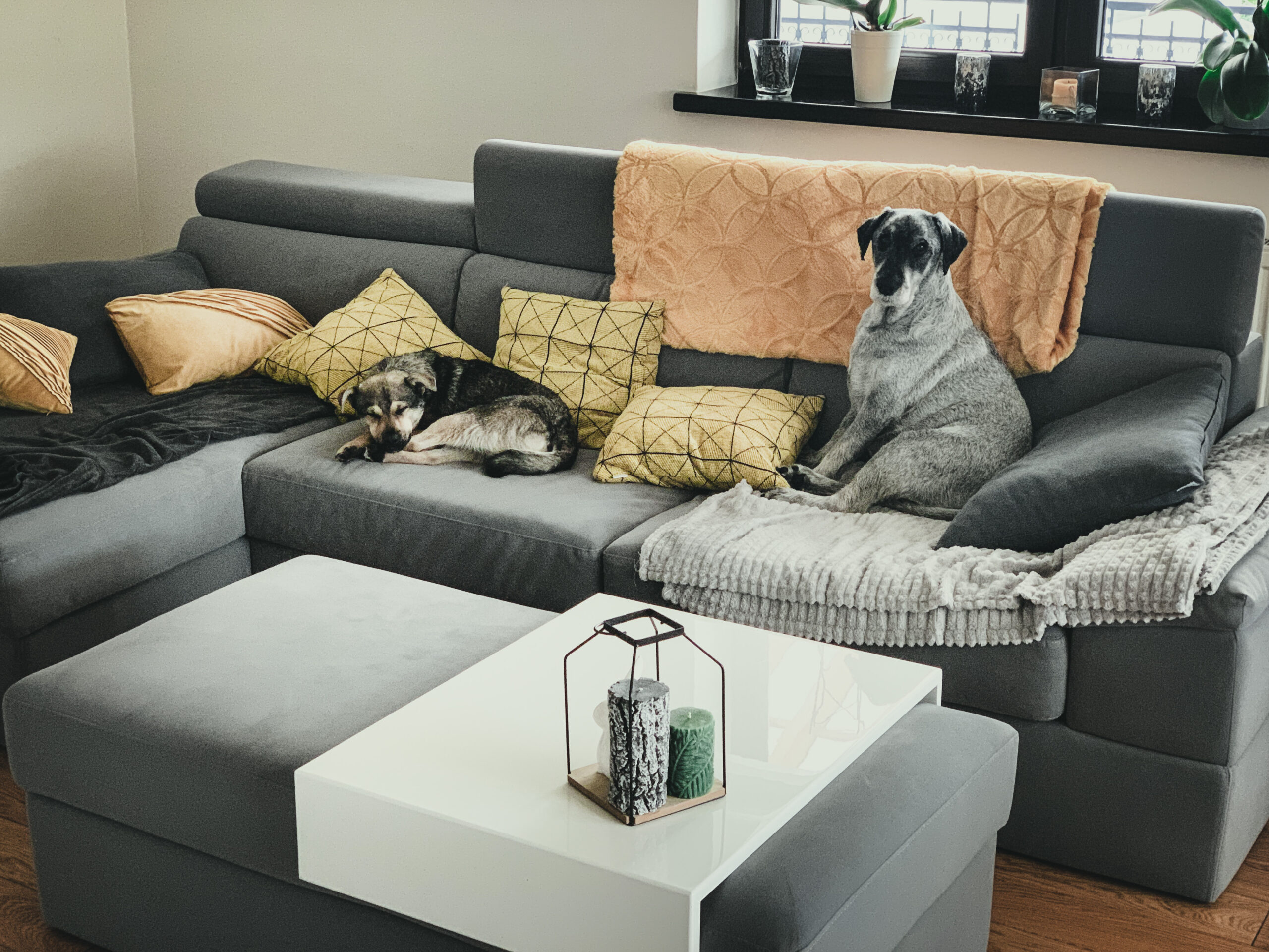 jak wyjść ze strefy komfortu